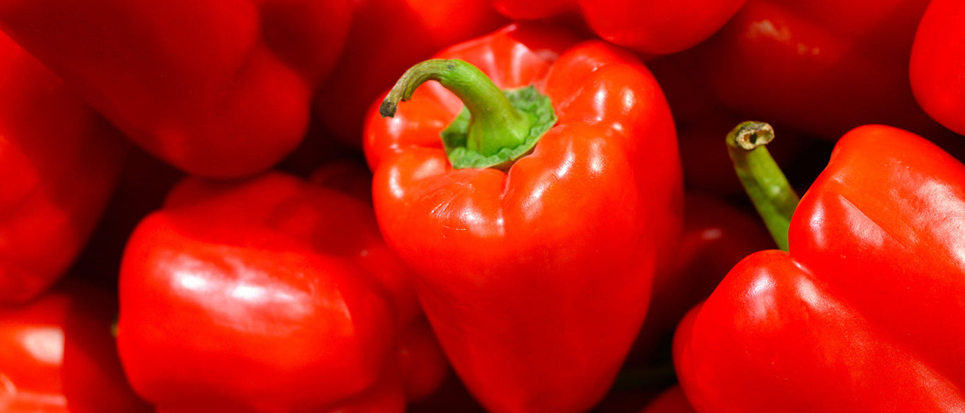 Plants de poivrons et piments