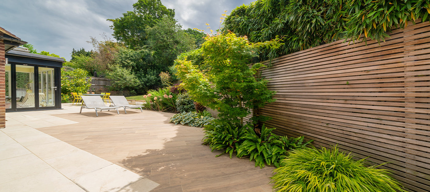 Terrasse plantes persistantes