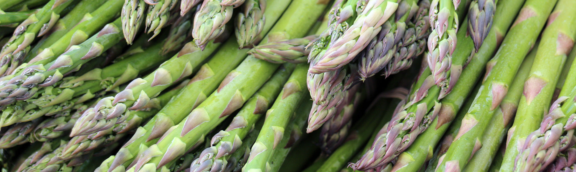 Asperges