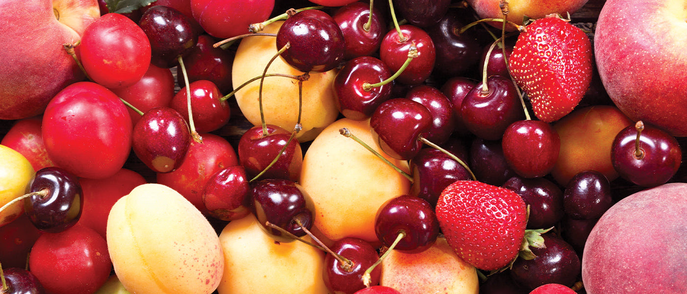 Tomate - Solanum lycopersicum