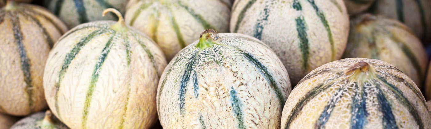 Melons