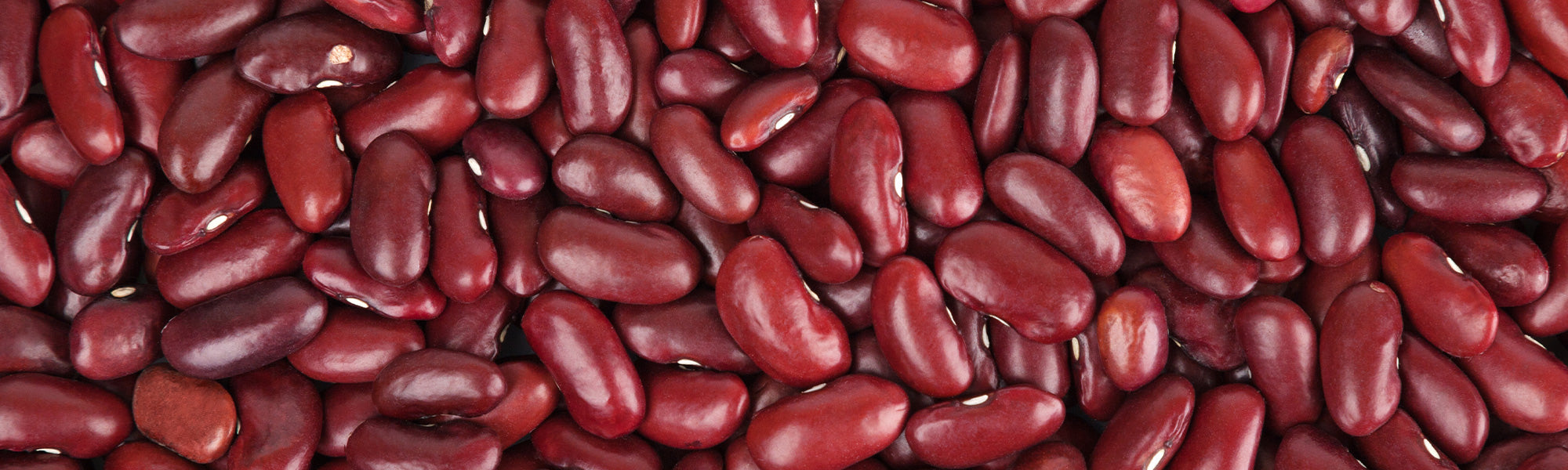 Haricots à écosser