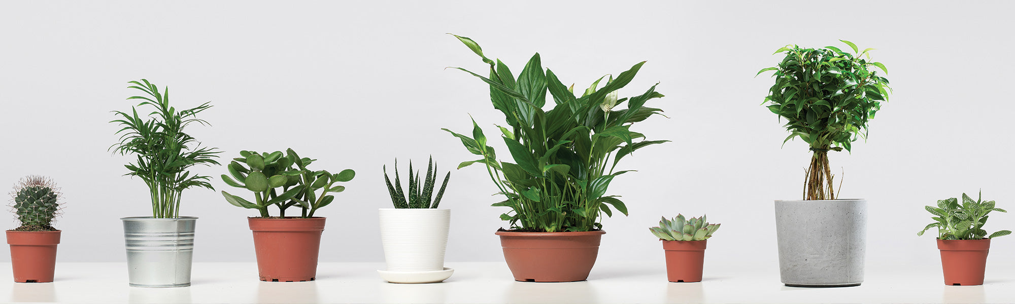 Pots vases suspensions et accessoires