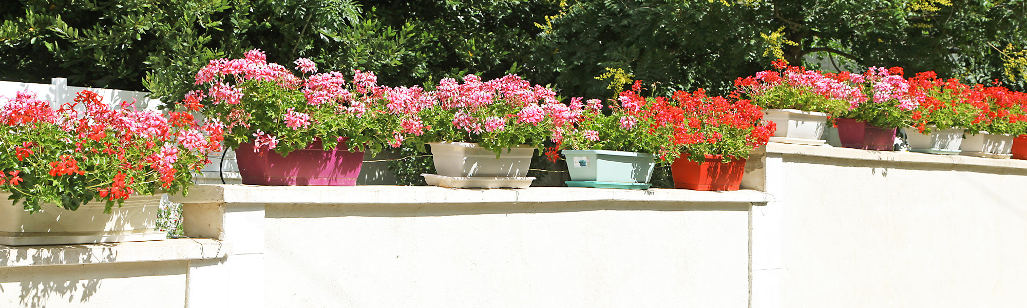 Jardinières et balconnières