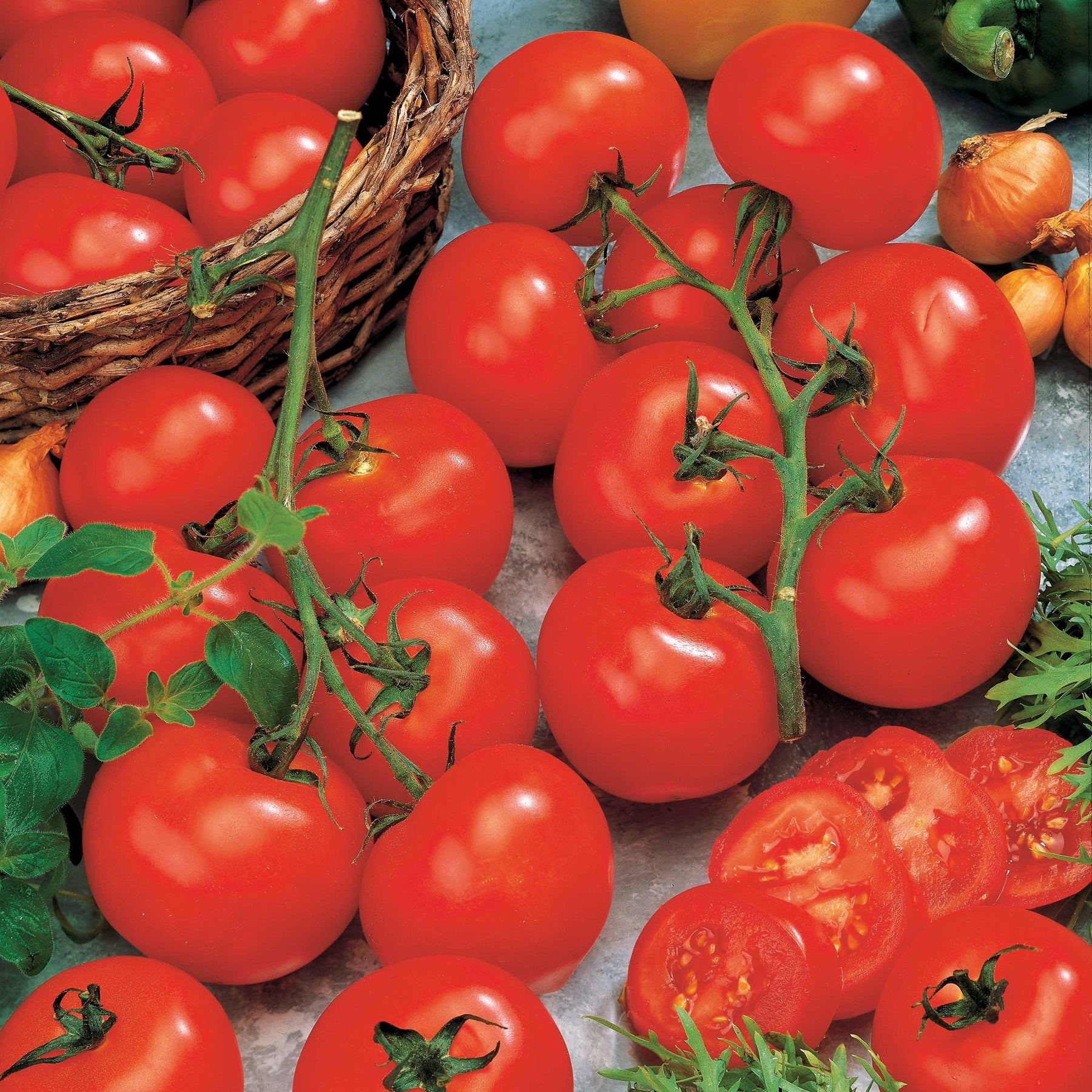 Tomate Vitador F1 - Solanum lycopersicum vitador f1 - Potager