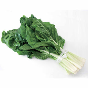 Poirée Verte à cardes blanches 2 - Beta vulgaris cicla verte à cardes blanches 2 - Graines de fruits et légumes