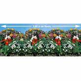 Tapis de graines pour bordures fleuries - Potager