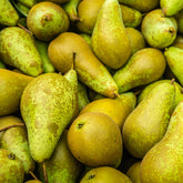 Poirier Conférence - Willemse