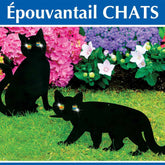 2 Epouvantails chat - Willemse