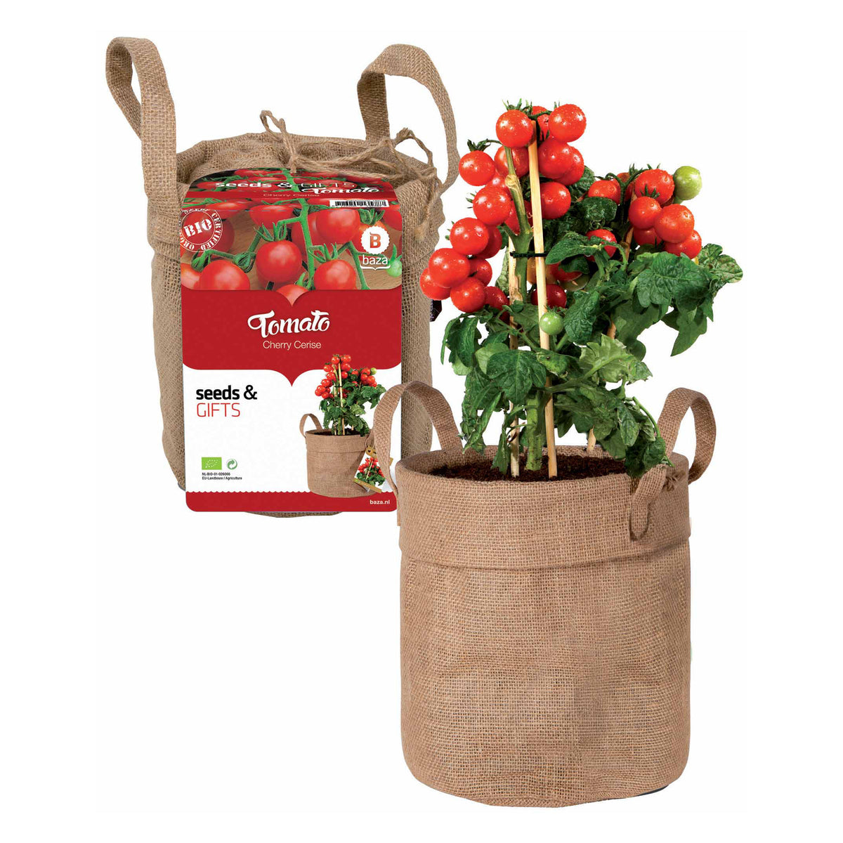 Kit Tomate cerise avec sac déco et terreau - Solanum lycopersicum - Kit de graines