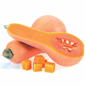 Cucurbita moschata hercules f1 - Courge Butternut Hercules F1 - Courges
