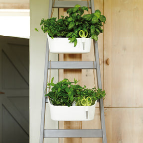 Cache-pot Brussels Herbs Station blanc ELHO -  - Willemse