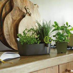 Elho Cache-pot Brussels Herbs Station anthracite