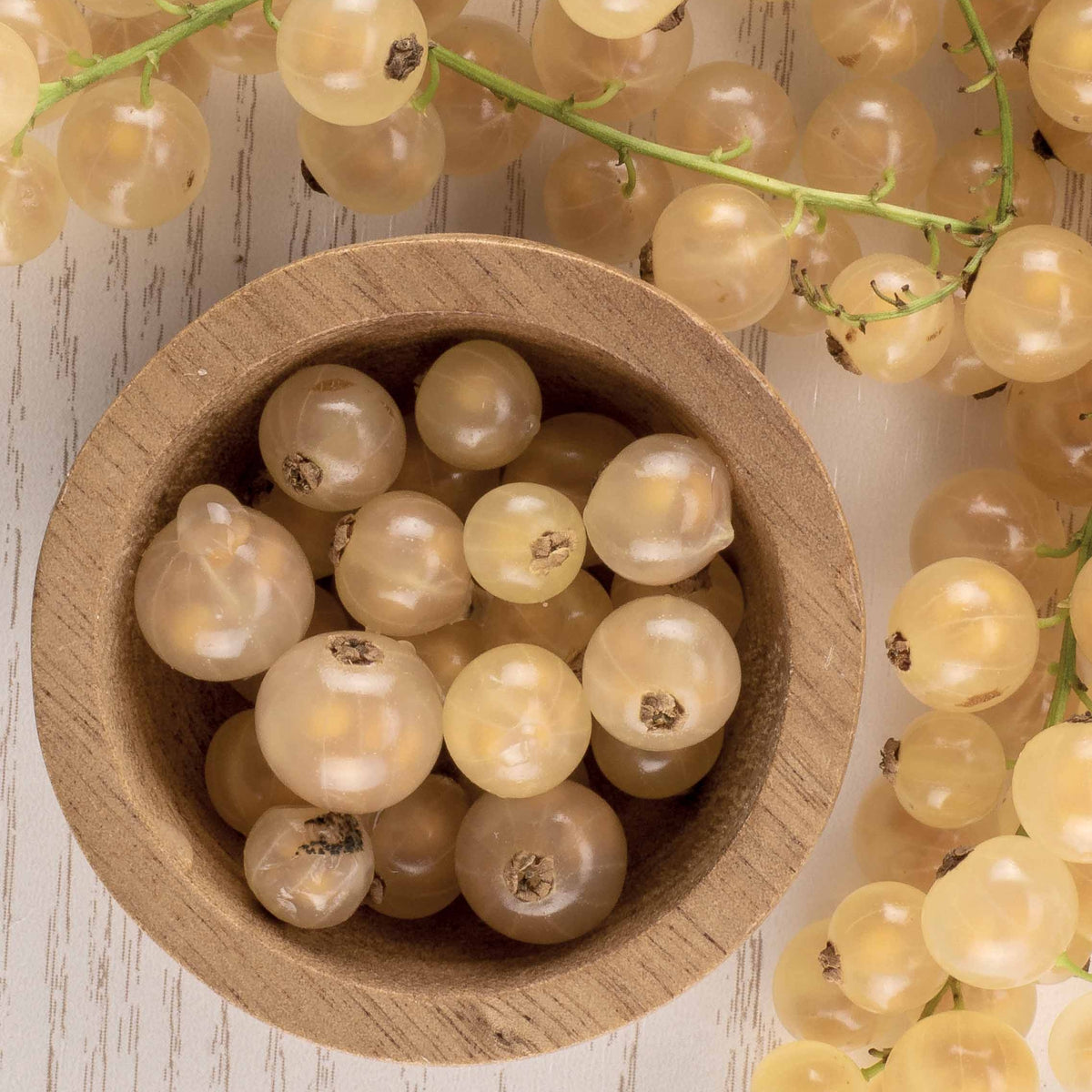 Groseillier White Pearl - Ribes rubrum white pearl - Fruitiers Arbres et arbustes