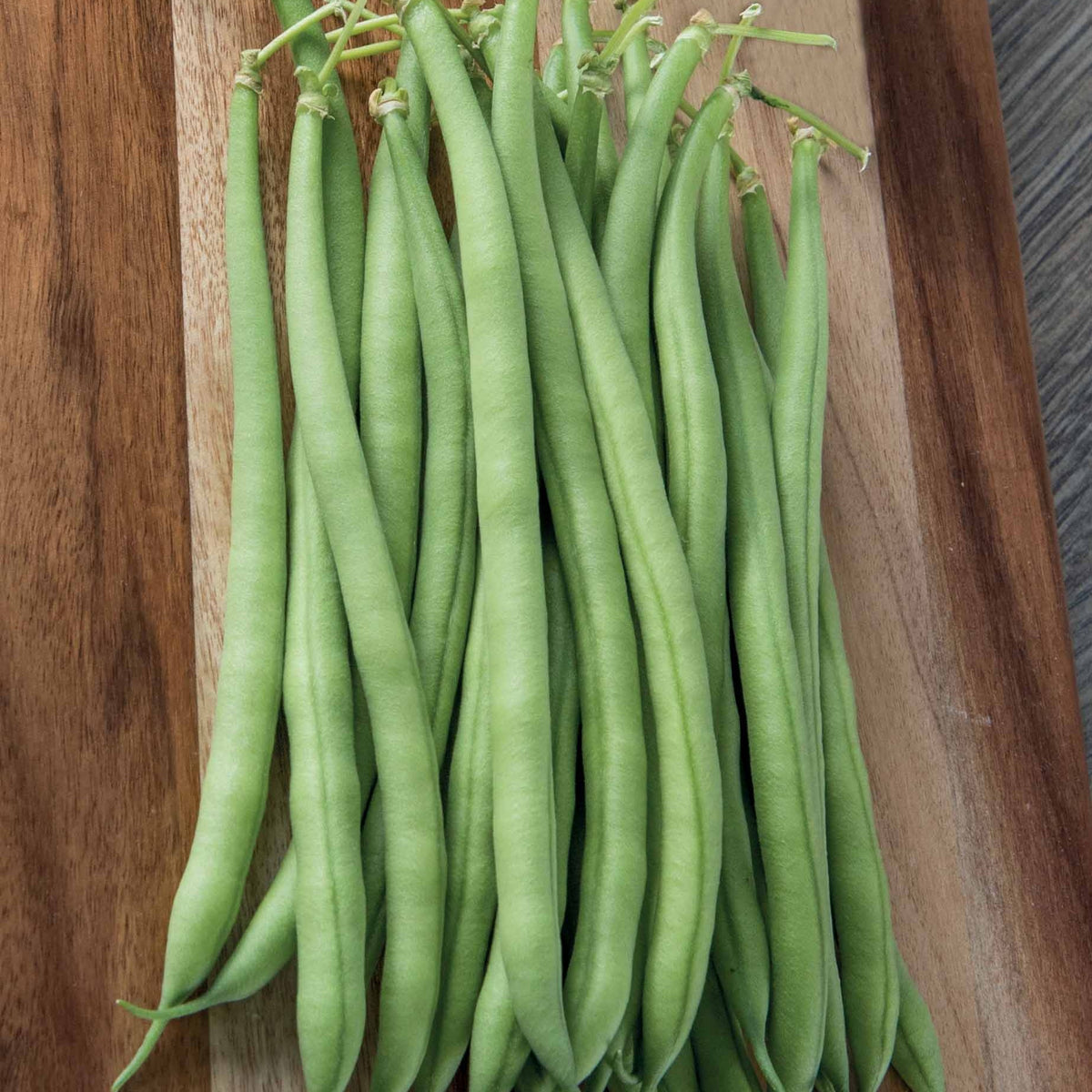 Haricot nain Krypton - Willemse