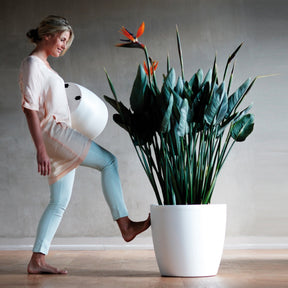 Cache-pot Brussels Round Wheels anthracite ELHO -  - Willemse