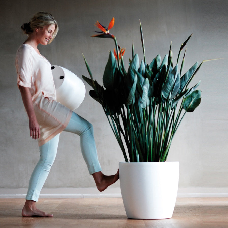 Cache-pot Brussels Round Wheels anthracite ELHO -  - Willemse