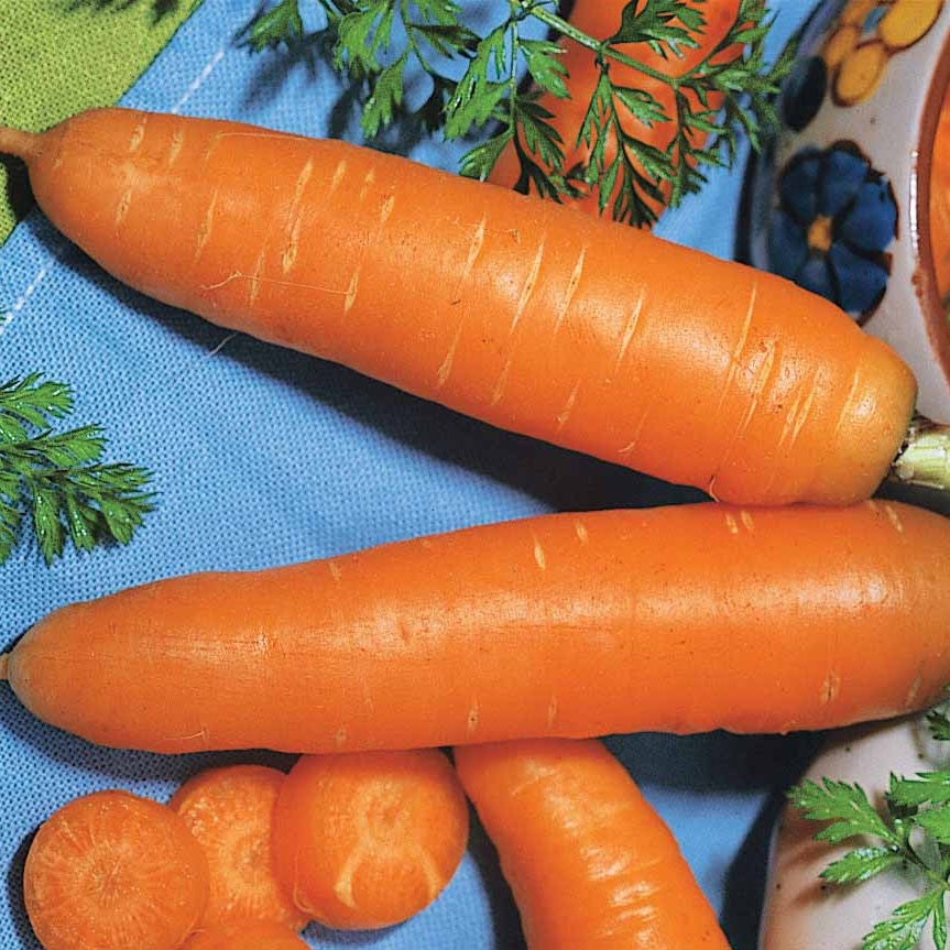Collection de carottes: 40g Nantaise, 5gCarentan, 5 g Colmar