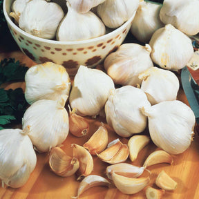  - Collection de 3 sachets de bulbes d'Ails, Echalotes et Oignons - Ail‚ Oignons et Echalotes