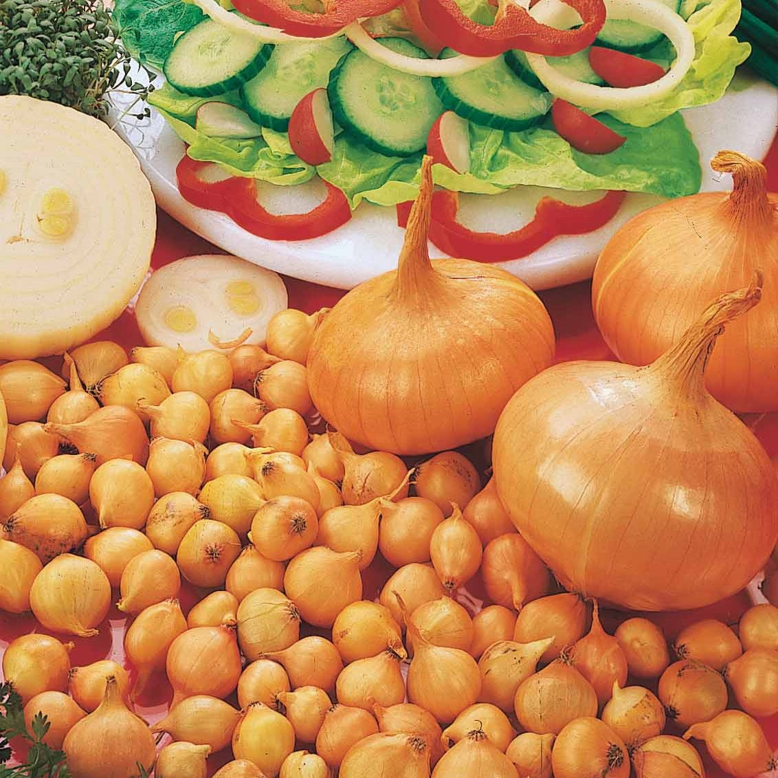 Ail‚ Oignons et Echalotes - Collection de 3 sachets de bulbes d'Ails, Echalotes et Oignons - 