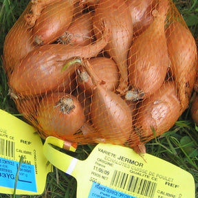 Vente Collection d'Ails roses, Echalotes et Oignons - 