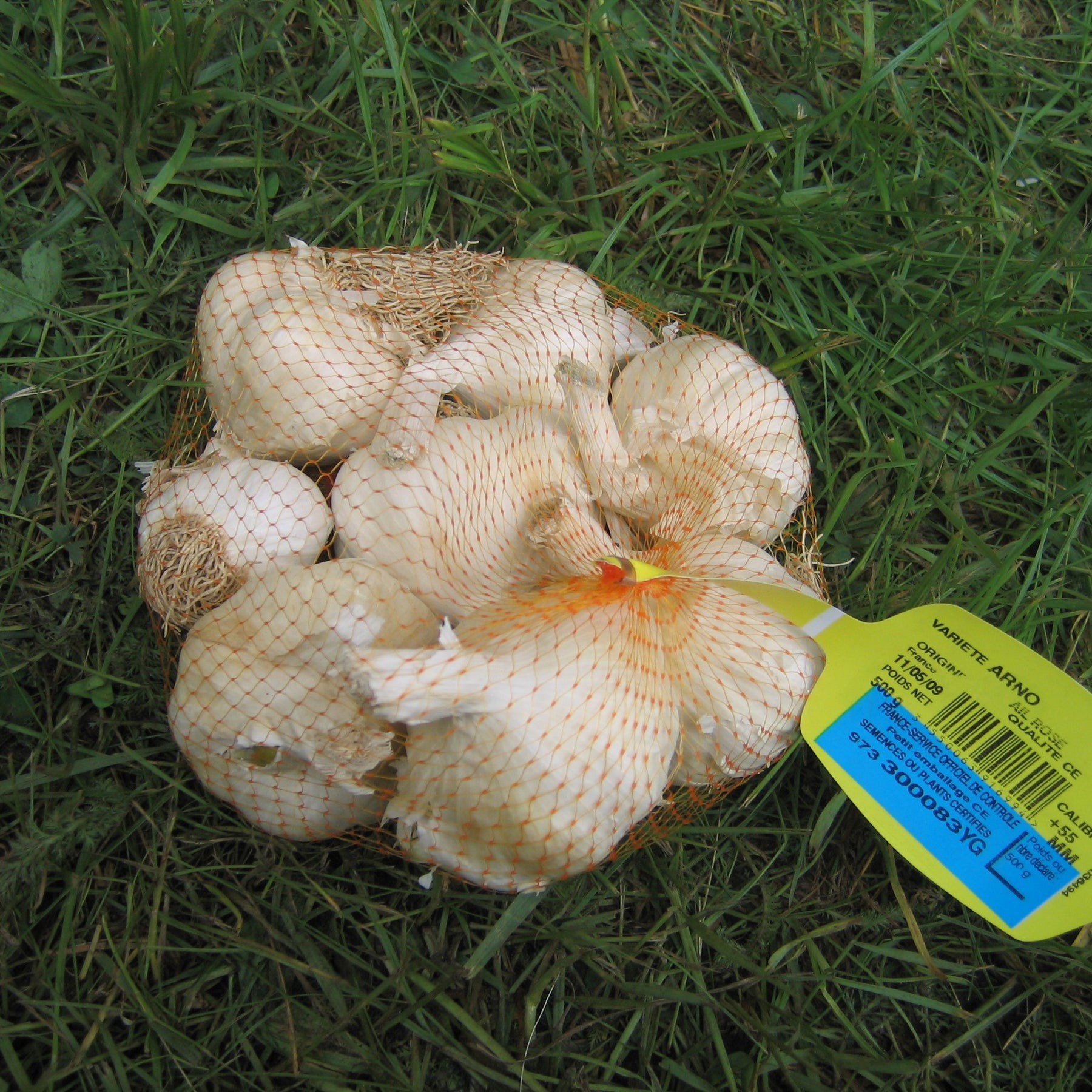 Vente Collection d'Ails roses, Echalotes et Oignons