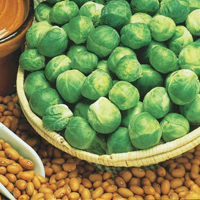 Chou de Bruxelles Jade Cross F1 - Willemse