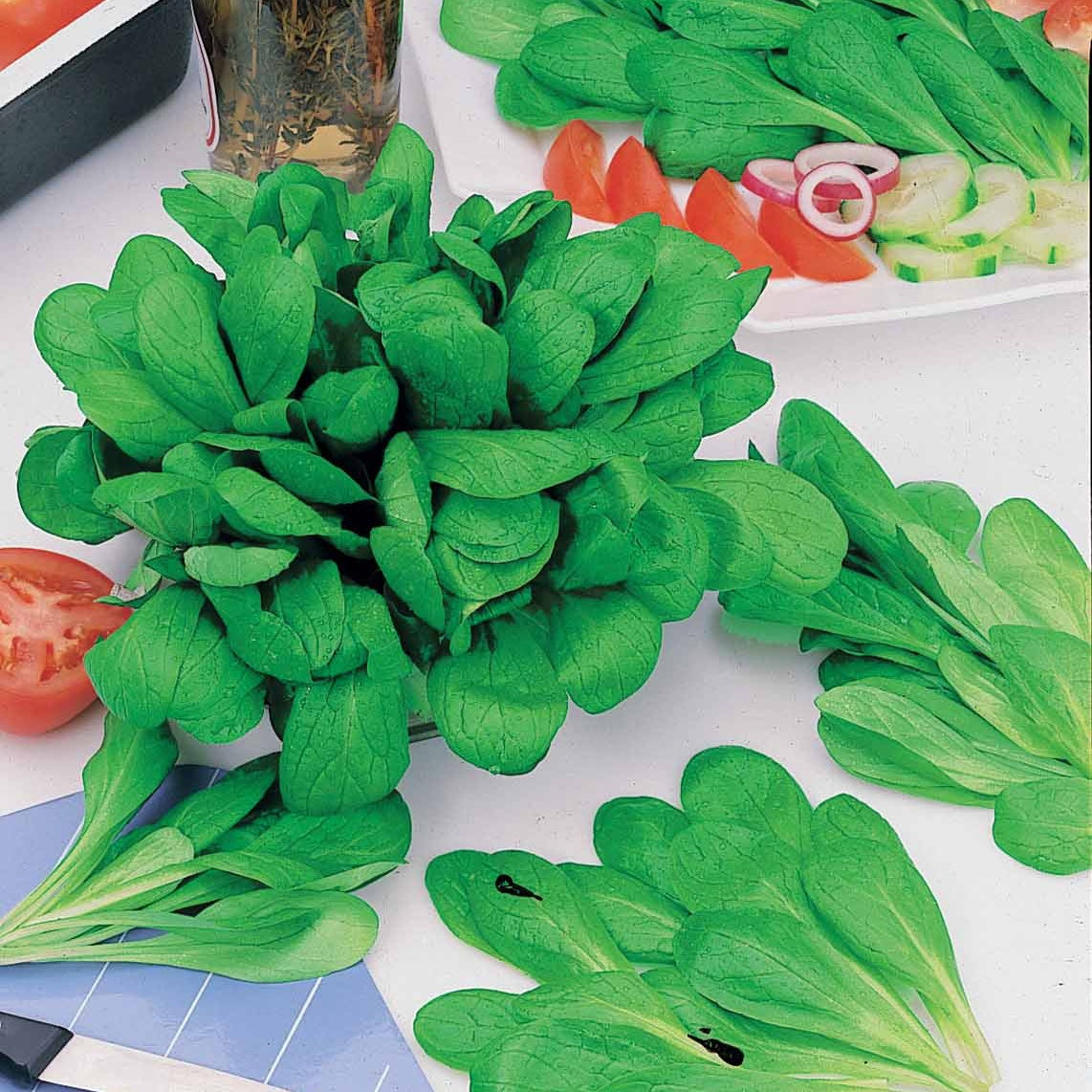 Mâche Verte d'Etampes (30 g) - Willemse