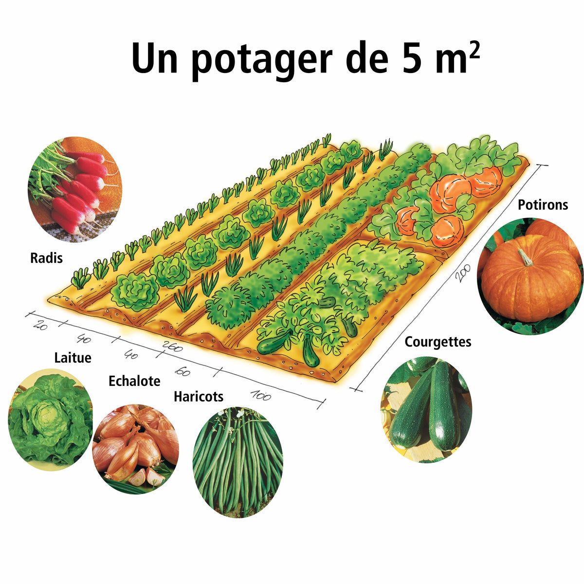 Collection Mon 1er potager de 5 m² - Willemse