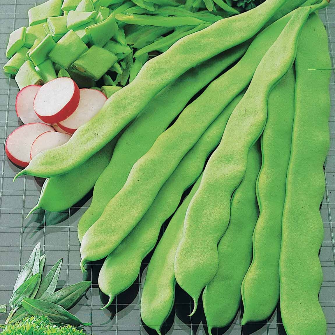 Haricot sabre nain Admires - Willemse