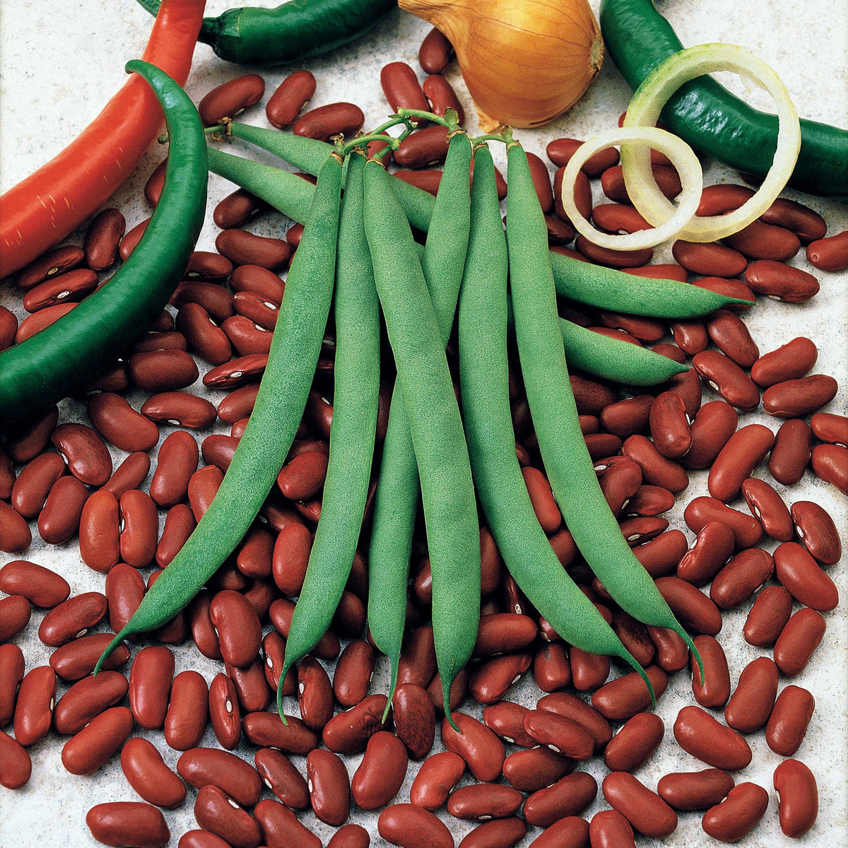 Haricot rouge Canadian Wonder - Willemse