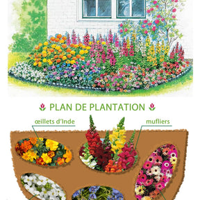 Vente 10 Tapis de graines Massif ensoleillé