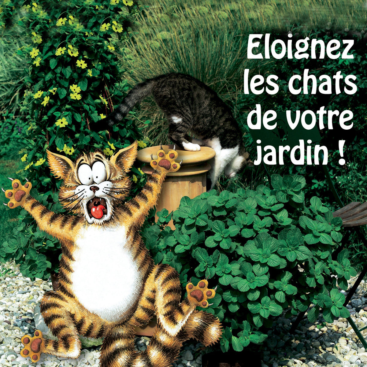 6 Terreurs des chats - Willemse