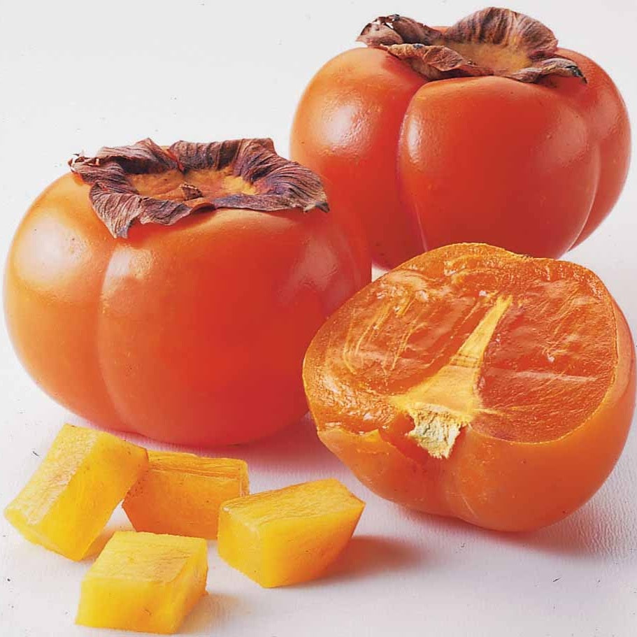 Vente Plaqueminier kaki Muscat (gob. 2 ans) - Diospyros kaki