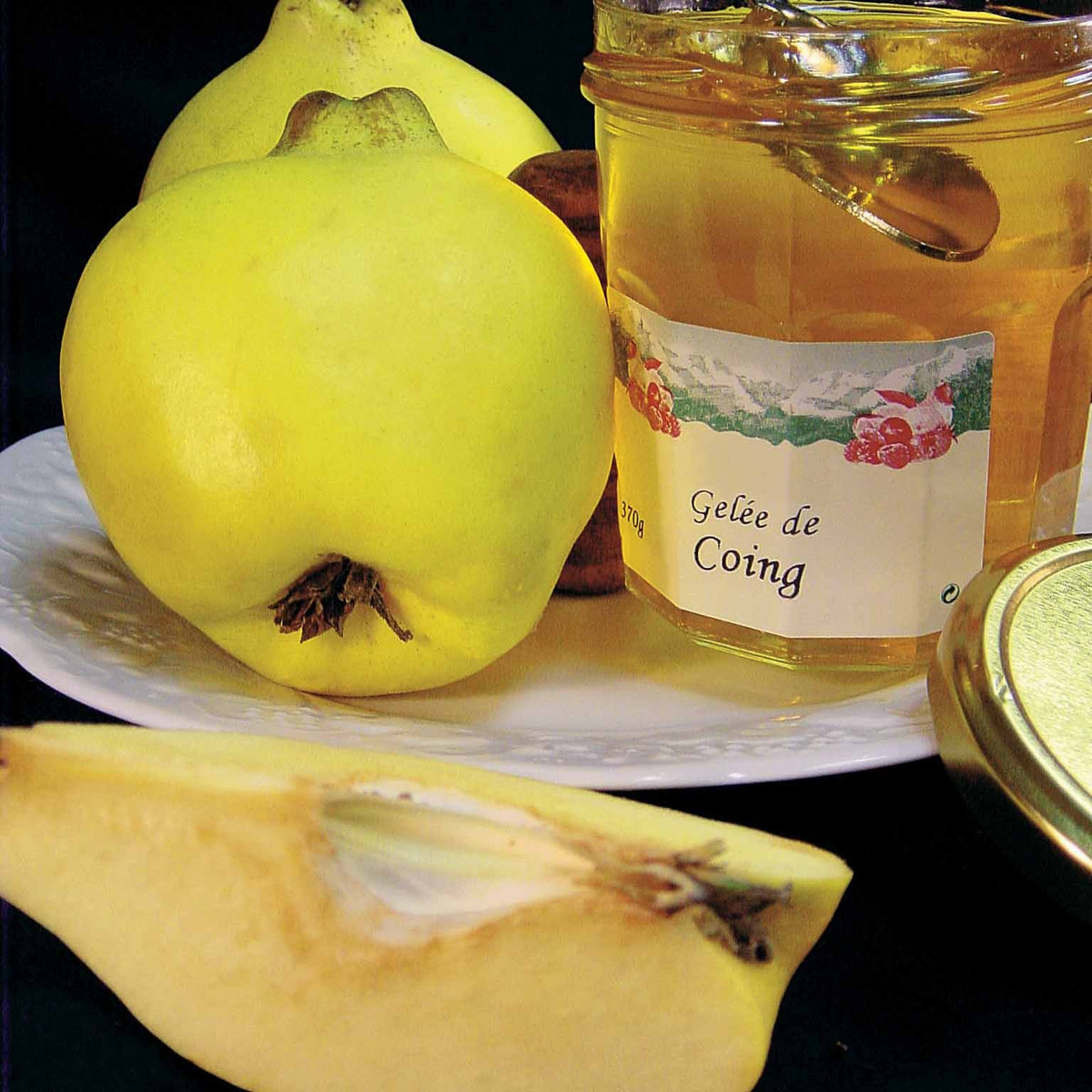 Coing Le Bourgeaut (GT) - Cydonia oblonga le bourgeaut - Willemse