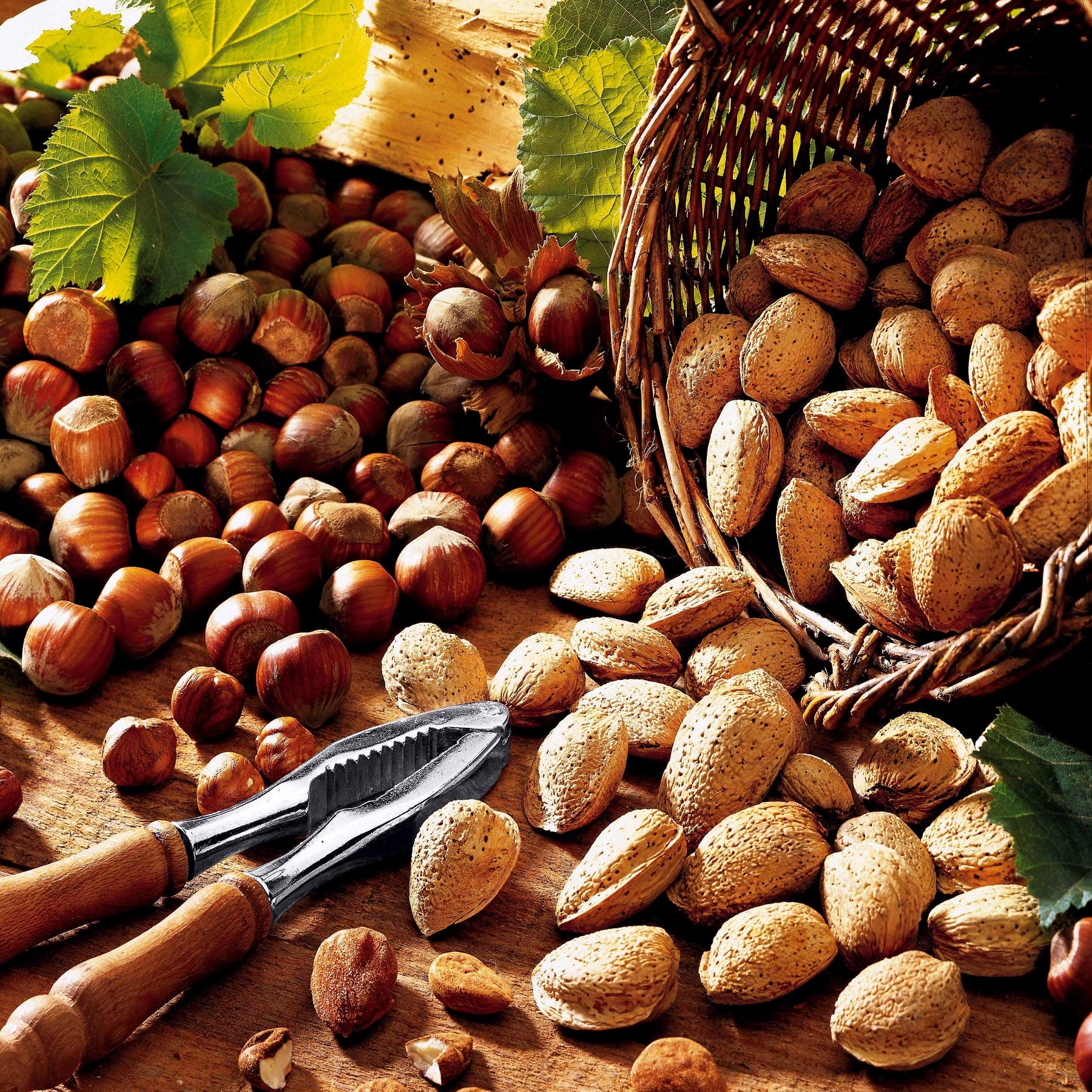 Prunus dulcis all in  one - Amandier autofertile All in One (scion) - Fruitiers Arbres et arbustes