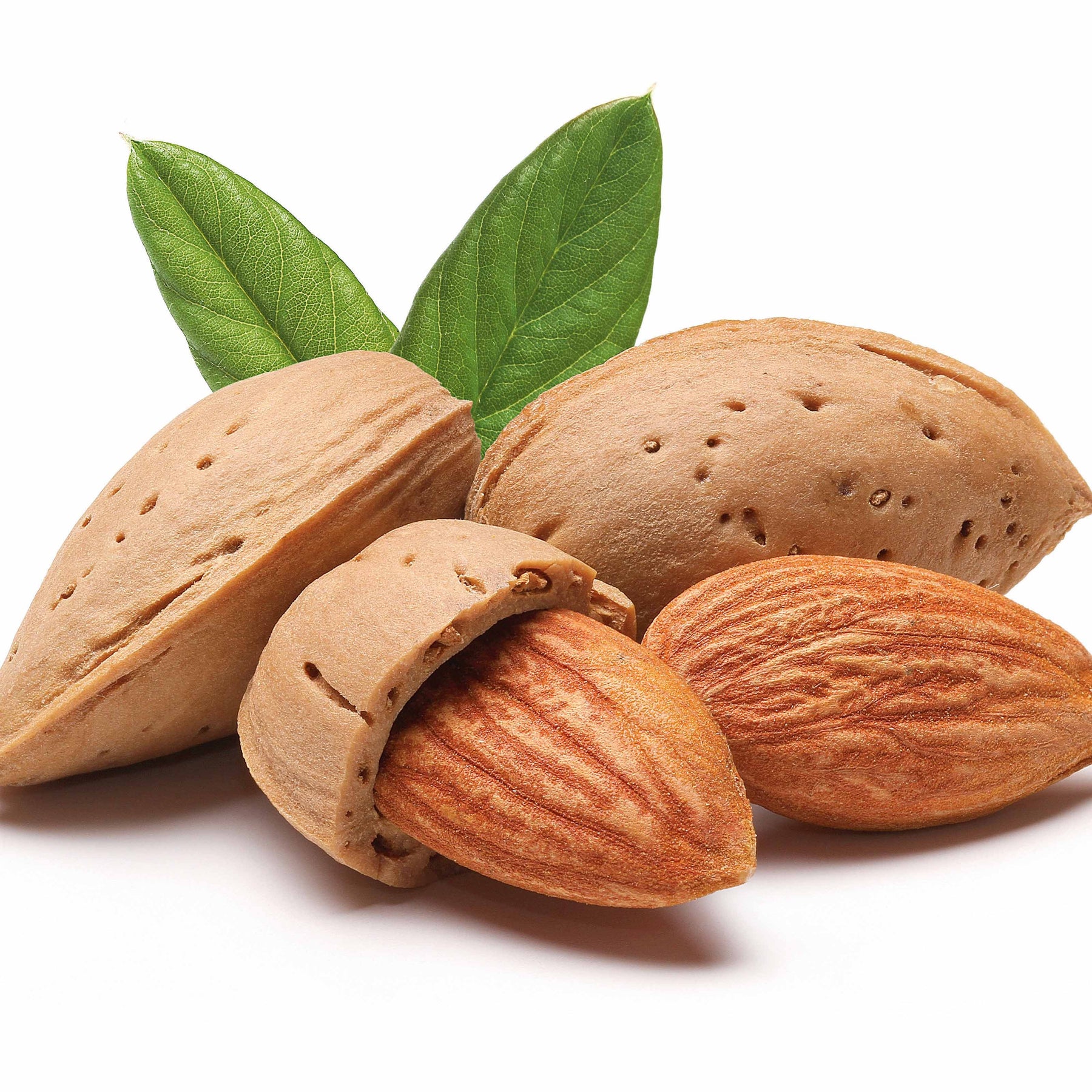 Vente Amandier autofertile All in One (scion) - Prunus dulcis all in  one