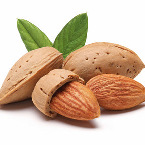 Vente Amandier autofertile All in One (scion) - Prunus dulcis all in  one