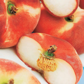 Pêche plate à chair blanche Sauzee Bel ® - Willemse