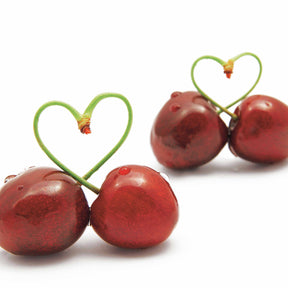 Cerisier Géante du Canada - Prunus avium canada giant ® - Willemse