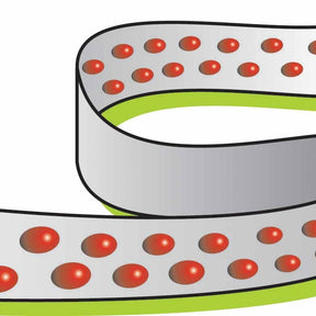 Carotte Nantaise améliorée 4 (ruban) - Daucus carota nantaise améliorée 4 - Willemse