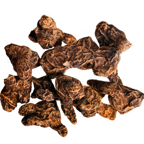 Anémone - 25 Anémones de Grèce blanches - Anemone blanda white splendour