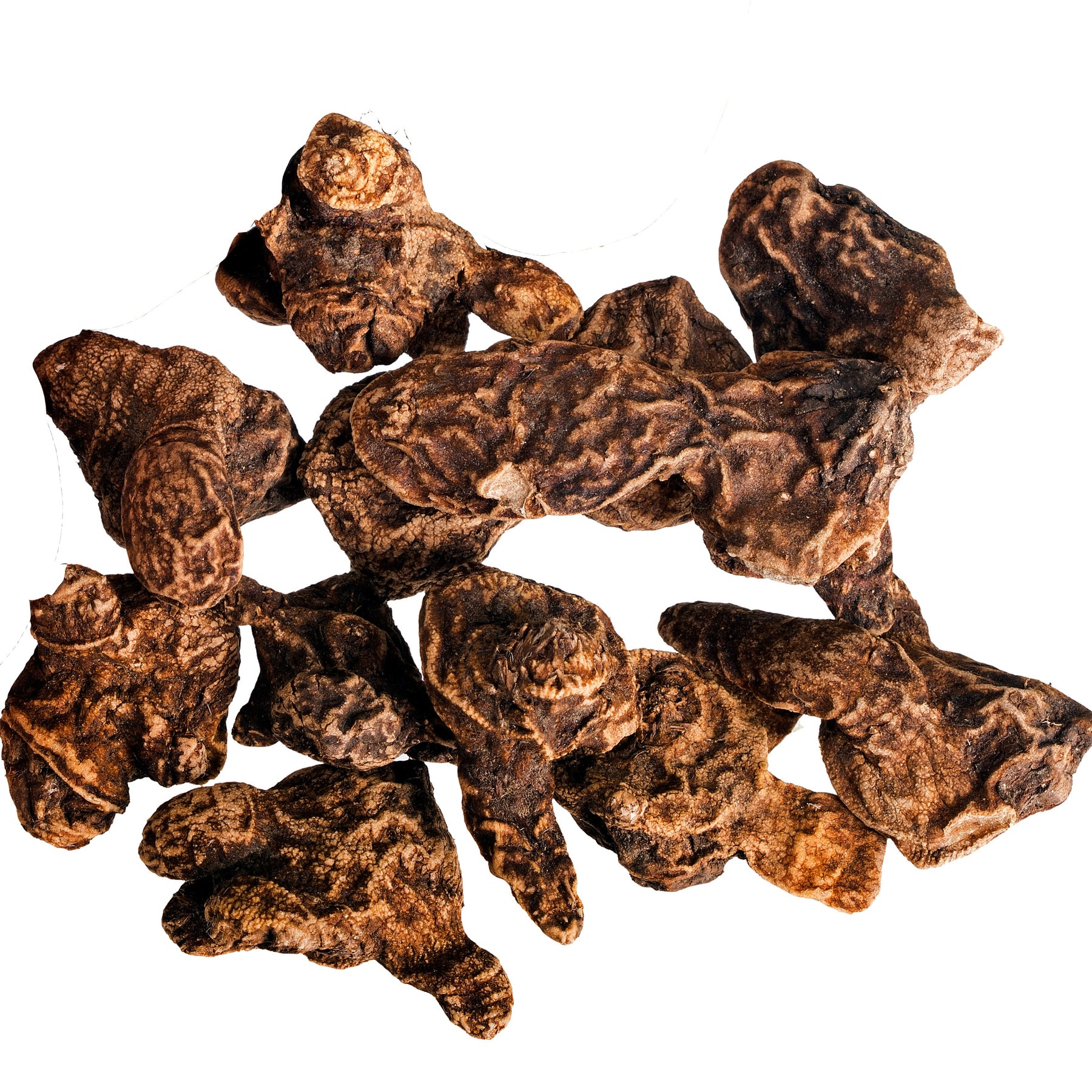 50 Anémones de Grèce en mélange - Anemone blanda - Willemse