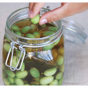 Melothria scabra - Concombre à confire - Graines de fruits et légumes