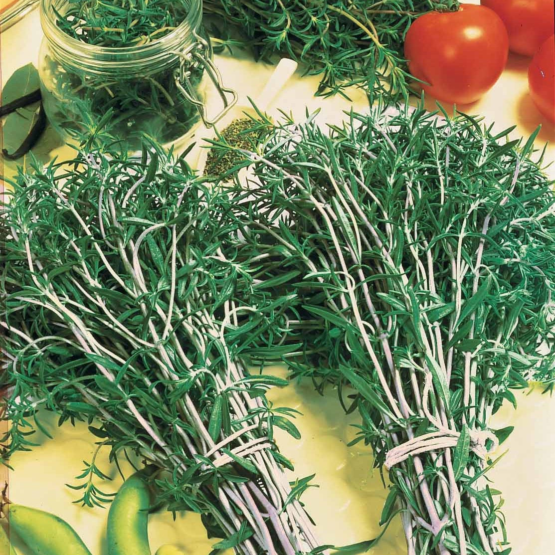 Sarriette commune - Willemse