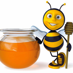 65 bulbes violet attirant les abeilles - Bulbes à fleurs - Willemse