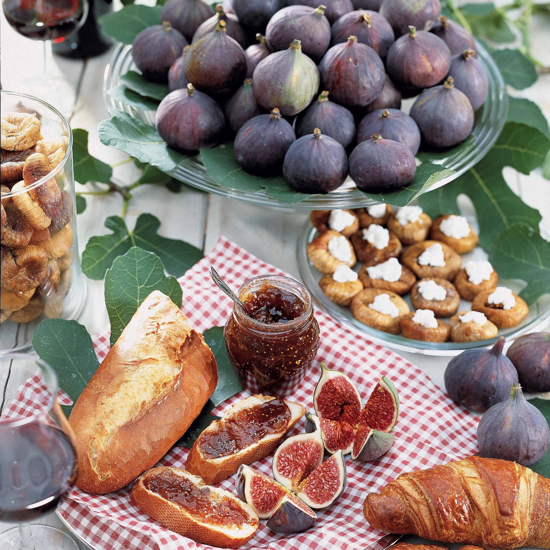 Pack Figuier bleu Brogiotto - Willemse