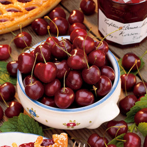Pack cerisier bigarreau Van - Willemse