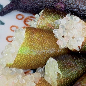 Fruitiers Arbres et arbustes - Collection de 3 mini-fruitiers pour terrasses méditerranéennes - Citrus reticulata, ficus carica brogiotto , citrus