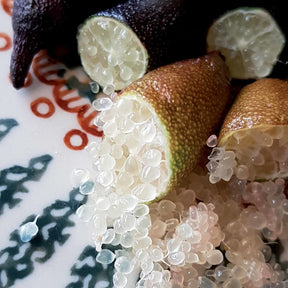 Vente Collection de 3 mini-fruitiers pour terrasses méditerranéennes